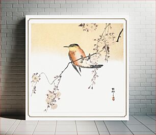 Πίνακας, Songbird and Blossoming Cherry (ca. 1900) by Ohara Koson (1877–1945)