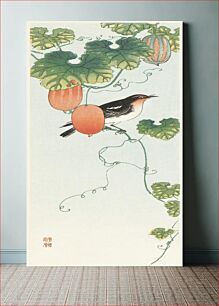 Πίνακας, Songbird in cucumber plant (1925 - 1936) by Ohara Koson (1877-1945)