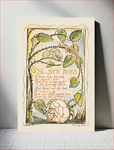 Πίνακας, Songs of Innocence and of Experience: The Sick Rose by William Blake
