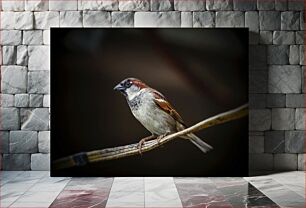 Πίνακας, Sparrow on a Branch Σπουργίτι σε κλαδί