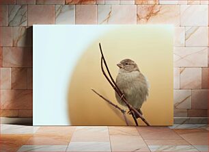 Πίνακας, Sparrow on a Branch Σπουργίτι σε κλαδί