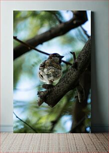 Πίνακας, Sparrow on a Branch Σπουργίτι σε κλαδί