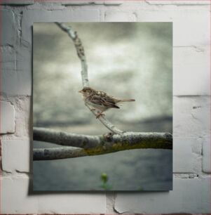 Πίνακας, Sparrow on a Tree Branch Σπουργίτι σε κλαδί δέντρου