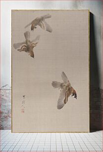 Πίνακας, Sparrows Flying by Watanabe Seitei