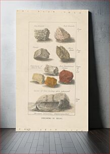 Πίνακας, Specimens of Rocks. Proof of an Illustration for Wright's 'Globe Prepared for Man'