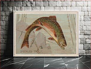 Πίνακας, Speckled Trout, from the series Fishers and Fish (N74) for Duke brand cigarettes