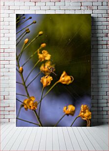Πίνακας, Spider on Yellow Flowers Αράχνη στα κίτρινα λουλούδια