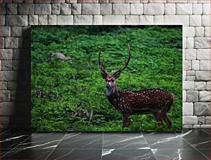 Πίνακας, Spotted Deer in the Forest Στίγματα ελάφια στο δάσος