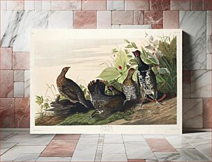Πίνακας, Spotted Grouse from Birds of America (1827) by John James Audubon, etched by William Home Lizars