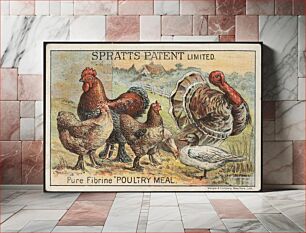 Πίνακας, Spratt's Patent Limited. Pure Fibrine "Poultry Meal."