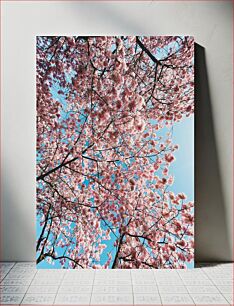 Πίνακας, Spring Blossoms Ανοιξιάτικα άνθη