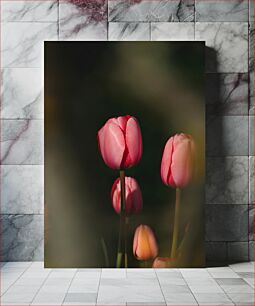 Πίνακας, Spring Tulips Ανοιξιάτικες τουλίπες