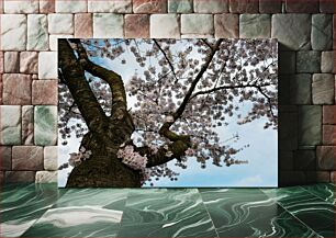 Πίνακας, Springtime Cherry Blossom Άνοιξη της κερασιάς