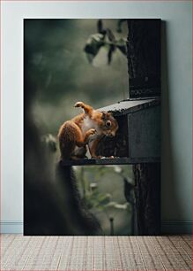 Πίνακας, Squirrel at a Feeder Σκίουρος σε τροφοδότη