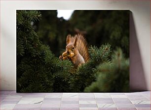 Πίνακας, Squirrel Eating in a Tree Σκίουρος που τρώει σε ένα δέντρο