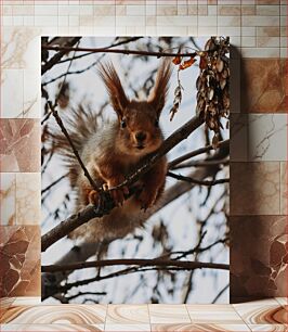 Πίνακας, Squirrel in a Tree Σκίουρος σε ένα δέντρο