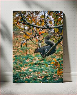 Πίνακας, Squirrel in Autumn Σκίουρος το Φθινόπωρο