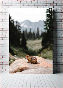 Πίνακας, Squirrel in Mountainous Landscape Σκίουρος στο ορεινό τοπίο