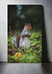 Πίνακας, Squirrel in Nature Σκίουρος στη φύση