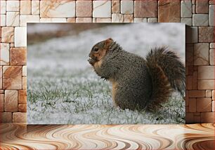 Πίνακας, Squirrel in Snow Σκίουρος στο χιόνι