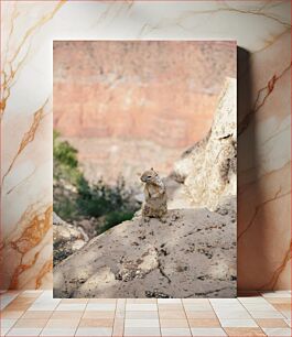 Πίνακας, Squirrel in the Canyon Σκίουρος στο φαράγγι