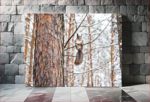 Πίνακας, Squirrel in Winter Forest Σκίουρος στο Χειμερινό Δάσος