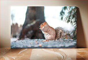 Πίνακας, Squirrel in Winter Σκίουρος το χειμώνα