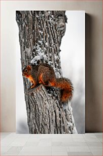 Πίνακας, Squirrel in Winter Σκίουρος τον Χειμώνα