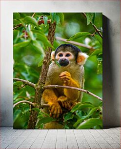 Πίνακας, Squirrel Monkey in the Forest Σκίουρος πίθηκος στο δάσος