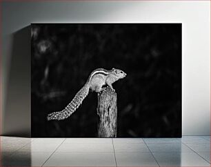 Πίνακας, Squirrel on a Post Σκίουρος σε μια ανάρτηση