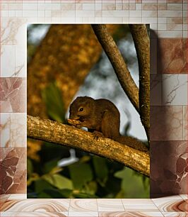 Πίνακας, Squirrel on a Tree Branch Σκίουρος σε κλαδί δέντρου