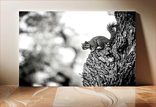 Πίνακας, Squirrel on a Tree Σκίουρος σε ένα δέντρο