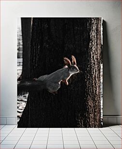 Πίνακας, Squirrel on a Tree Trunk Σκίουρος σε κορμό δέντρου