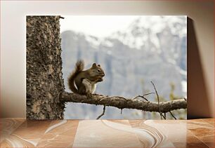 Πίνακας, Squirrel on Branch Σκίουρος στο κλαδί