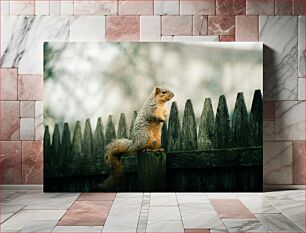 Πίνακας, Squirrel on Fence Σκίουρος στον φράχτη