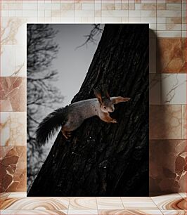 Πίνακας, Squirrel on Tree Σκίουρος στο δέντρο