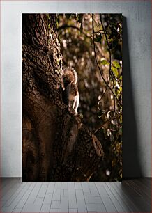 Πίνακας, Squirrel on Tree Σκίουρος στο δέντρο
