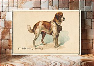Πίνακας, St. Bernard (Smooth), from the Dogs of the World series for Old Judge Cigarettes