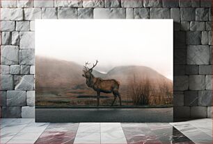 Πίνακας, Stag in Misty Landscape Ελάφι στο ομιχλώδες τοπίο