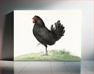 Πίνακας, Standing black chicken (1775–1833) by Jean Bernard