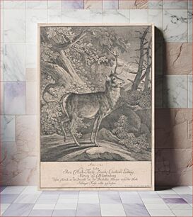 Πίνακας, Standing deer, Johann Elias Ridinger