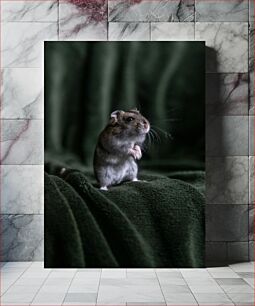 Πίνακας, Standing Hamster on Dark Green Blanket Όρθιο χάμστερ σε σκούρα πράσινη κουβέρτα