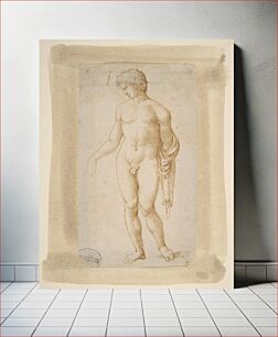 Πίνακας, Standing Male Nude