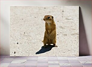 Πίνακας, Standing Squirrel on a Sunny Day Όρθιος σκίουρος μια ηλιόλουστη μέρα