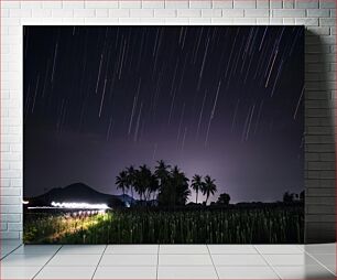 Πίνακας, Star Trails over a Palm Grove Star Trails πάνω από ένα Palm Grove