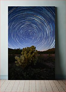 Πίνακας, Star Trails Over Desert Landscape Αστρικά μονοπάτια πάνω από το τοπίο της ερήμου