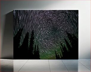 Πίνακας, Star Trails Over Forest Αστρικά μονοπάτια πάνω από το δάσος