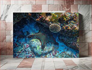 Πίνακας, Starfish and Sea Urchin Αστερίας και αχινός