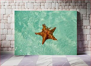 Πίνακας, Starfish in Clear Water Αστερίας σε Καθαρά Νερά