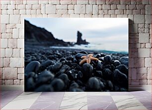 Πίνακας, Starfish on Rocky Beach Αστερίας στην παραλία Rocky